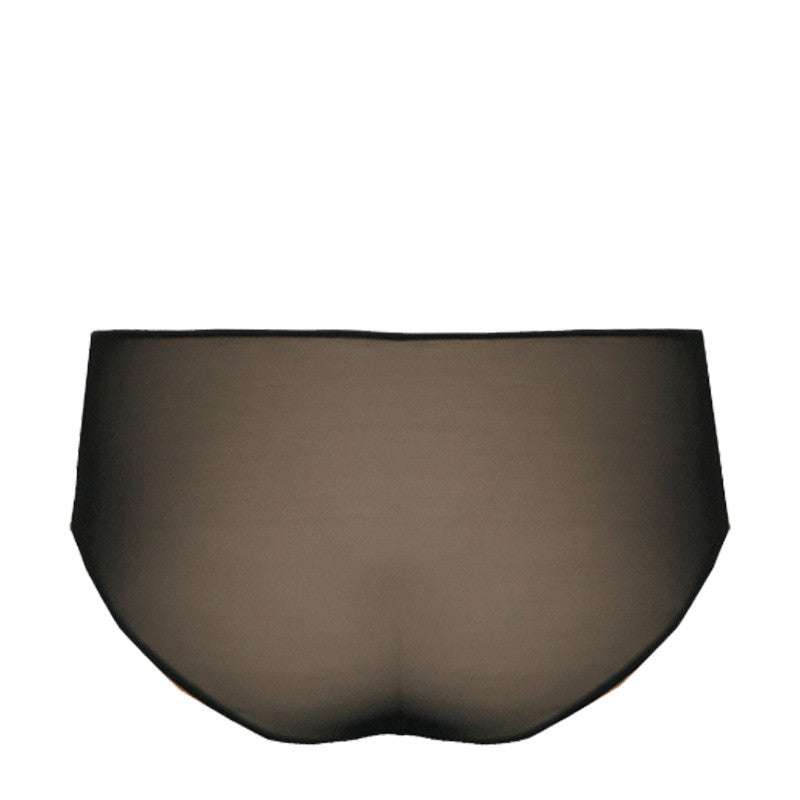 Gold Thread Lace Brief