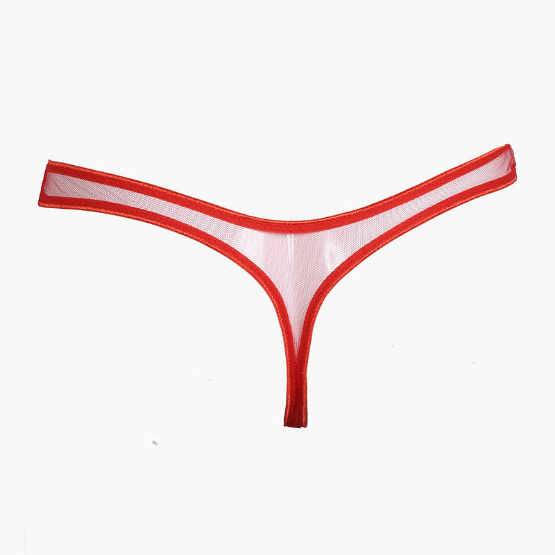 Confidence Silk and Mesh Thong