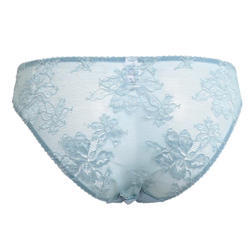 Esme Lace Brief