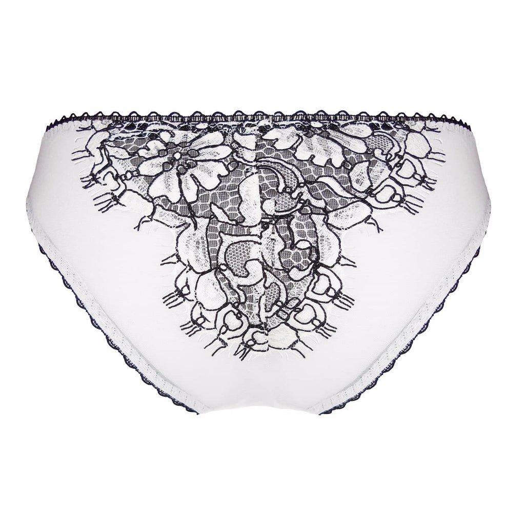 Lysander Brief